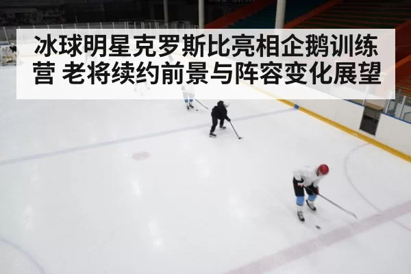 冰球明星克罗斯比亮相企鹅训练营 老将续约前景与阵容变化展望